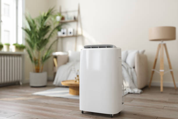 Best Ductless Mini-Split Systems in Savannah, GA